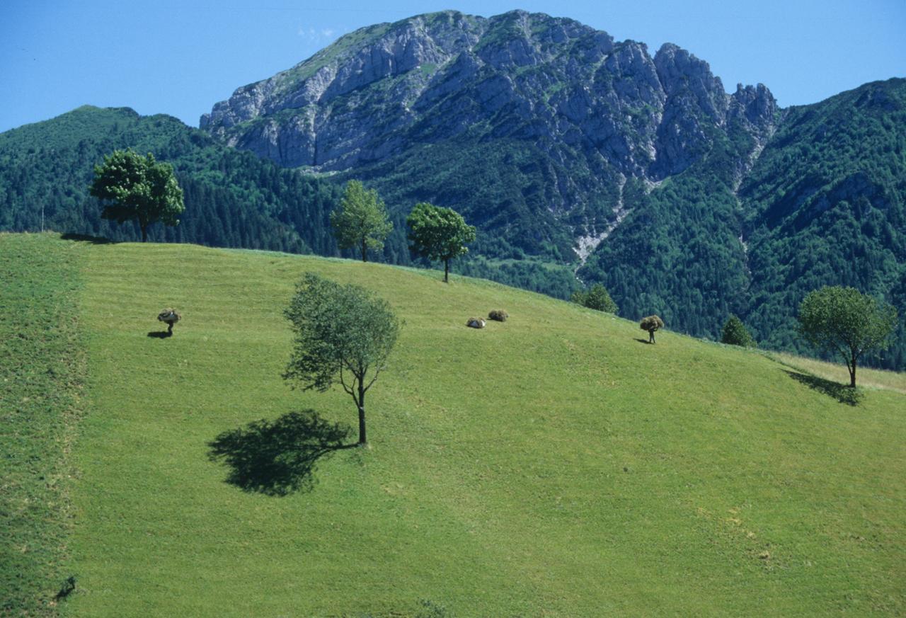 Albergo Belvedere Колио Екстериор снимка